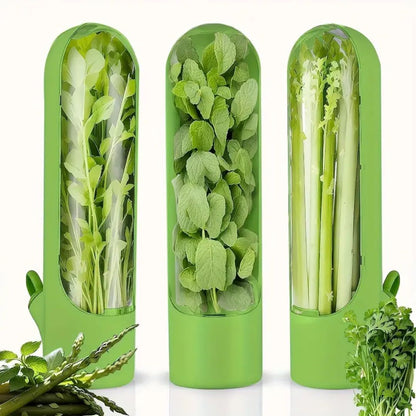 Refrigerator Herb Preservation Containers-Preserve Herbs Green and Fresh