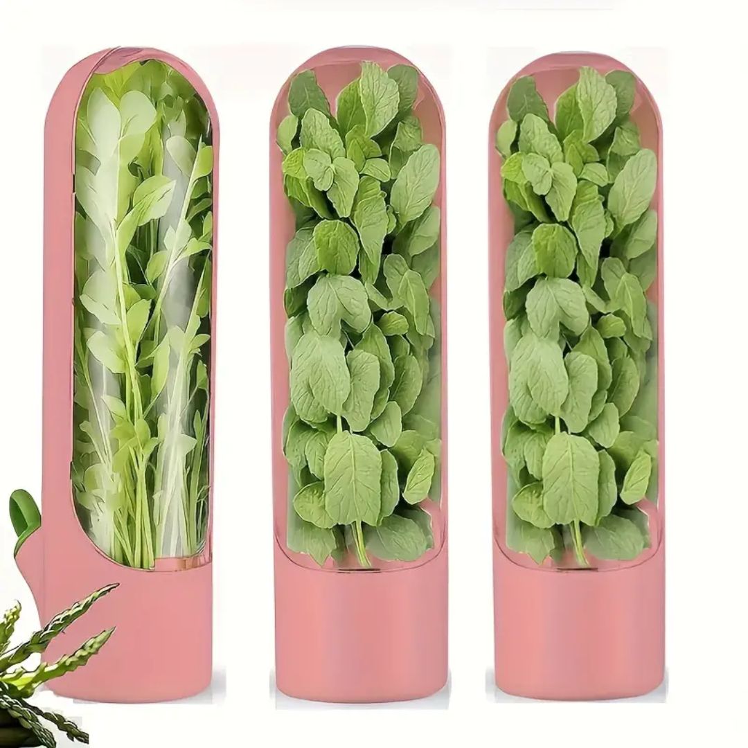 Refrigerator Herb Preservation Containers-Preserve Herbs Green and Fresh