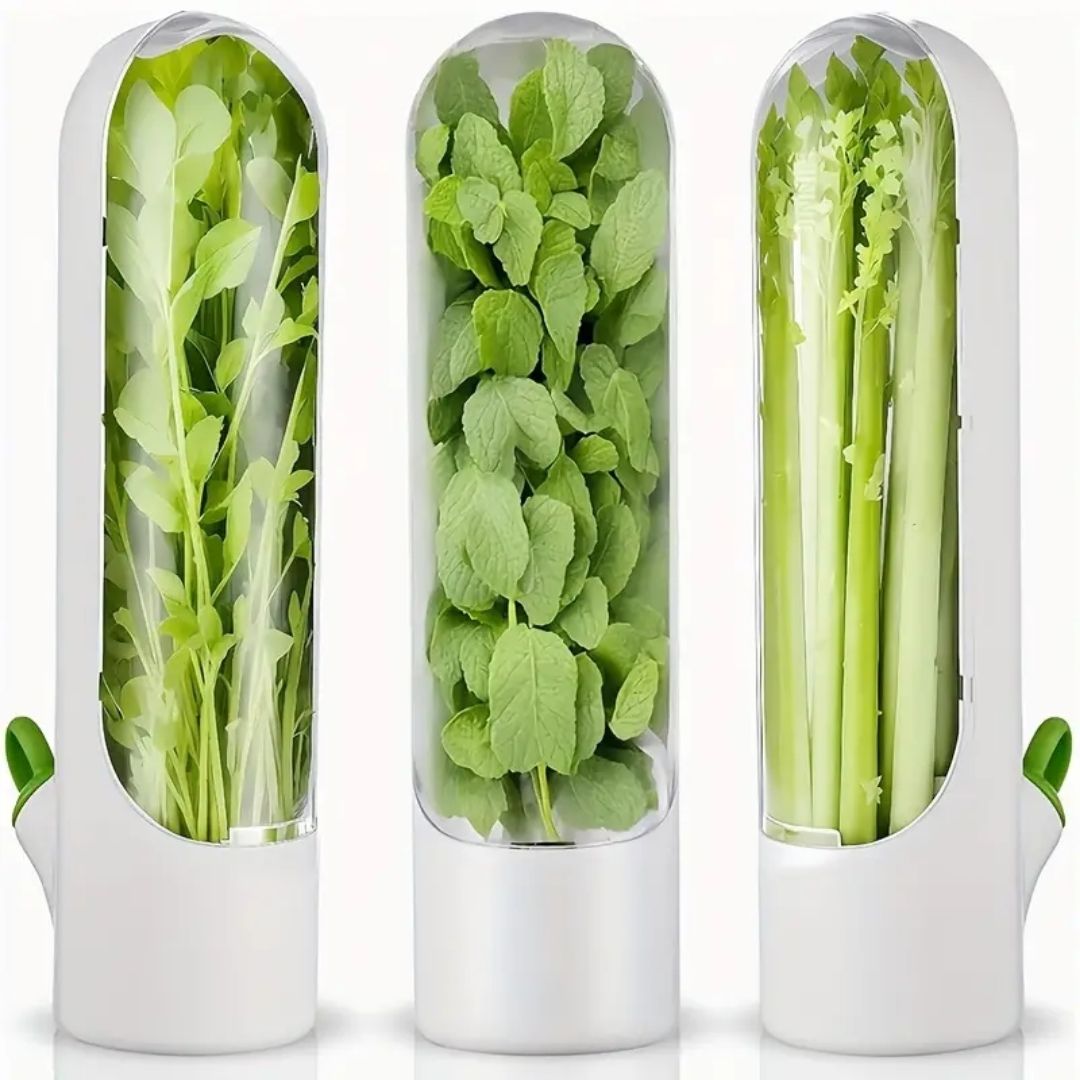 Refrigerator Herb Preservation Containers-Preserve Herbs Green and Fresh