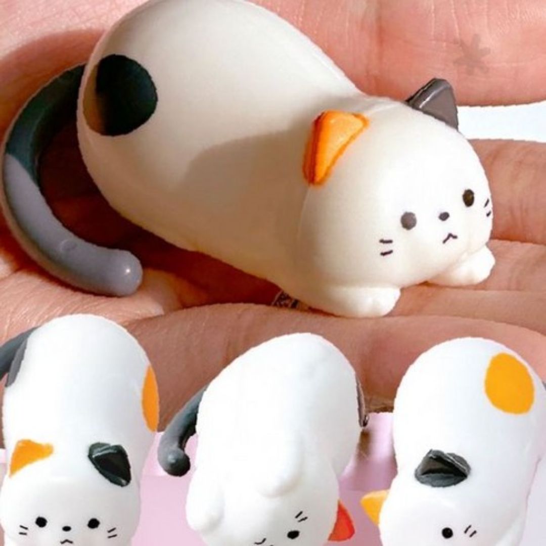 Rolling Cat Toy Fidget