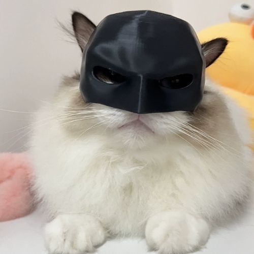 Cute Cats Mask Funny Mask