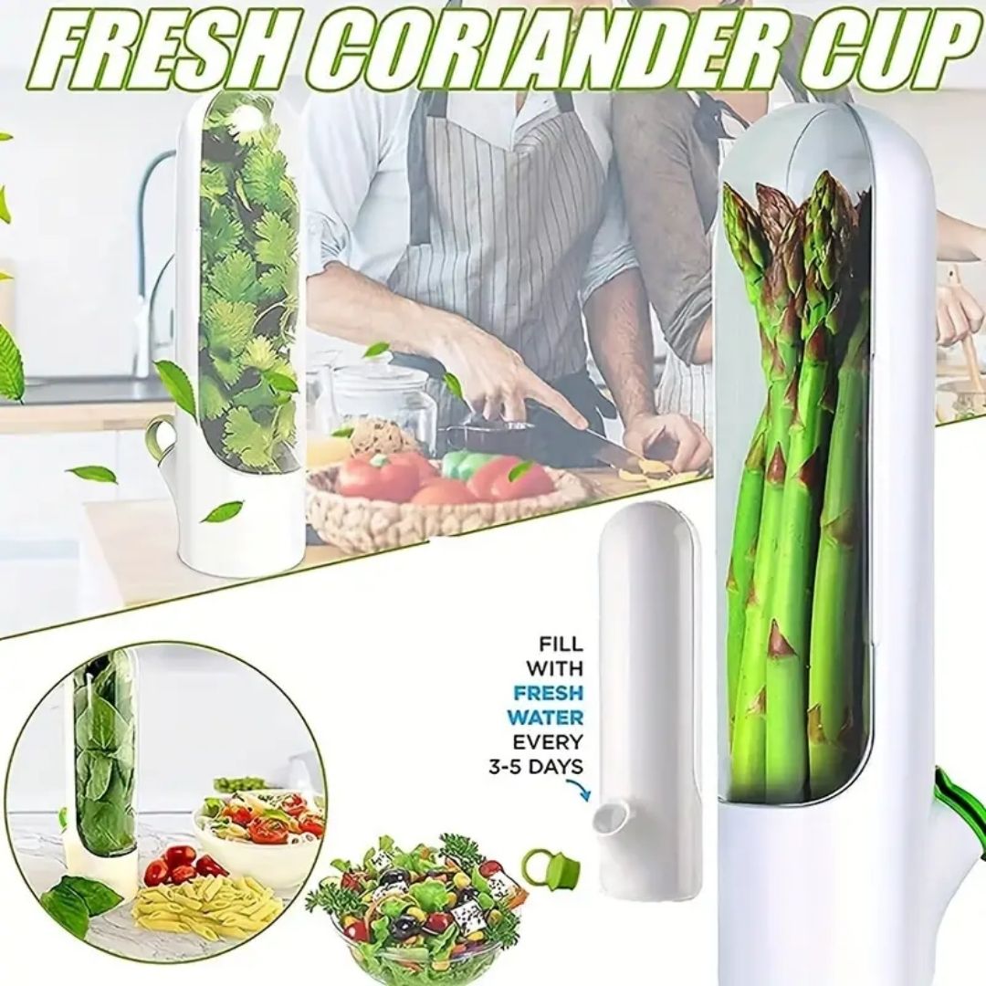 Refrigerator Herb Preservation Containers-Preserve Herbs Green and Fresh