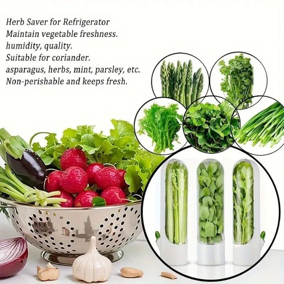 Refrigerator Herb Preservation Containers-Preserve Herbs Green and Fresh